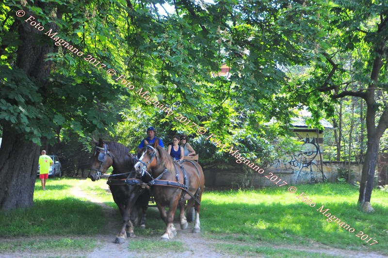 DSC_0888.JPG